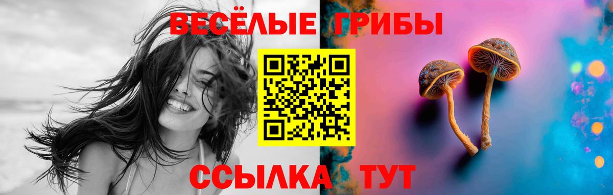 Ишим  Псилоцибиновые грибы Psilocybine cubensis  Вход с VPN 